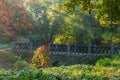 Decorative arched stone footbridge in autumn park