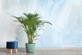 Decorative Areca palm with ottoman near color wall