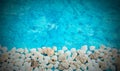 Decorative arrangement of sea shells on a blue background Royalty Free Stock Photo