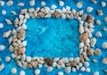Decorative arrangement of sea shells on a blue background Royalty Free Stock Photo