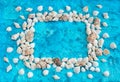 Decorative arrangement of sea shells on a blue background Royalty Free Stock Photo