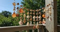 A decorative arrangement of various seashells hangs on strings, attached to a Royalty Free Stock Photo