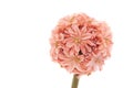 Decorative Artificial Flower