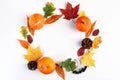 Decorative autumn composition of leaves, berries and pumpkins on white background. Royalty Free Stock Photo