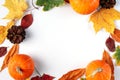 Decorative autumn composition of leaves, berries and pumpkins on white background. Royalty Free Stock Photo