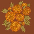 Decorative autumn flowers. Marigold flowers vector