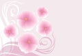Decorative background with blooming pink flowers
