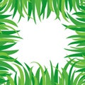 Decorative background with green grass isolated on white background. Square frame in nature style, space for your text. Vector Royalty Free Stock Photo