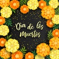 Decorative background with orange marigolds, symbol of mexican holiday Day of dead. Vector illustration