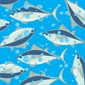 Decorative background of sea commercial fish tunny