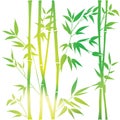 Decorative bamboo branches. Bamboo forest background. Seamless pattern.