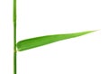 Decorative bamboo leaf