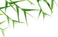 Decorative bamboo leaves