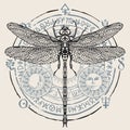 Decorative banner with a hand drawn dragonfly Royalty Free Stock Photo