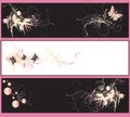 Decorative banners