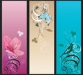 Decorative banners