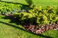 Decorative bark powder in landscape design