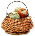 Decorative Basket Royalty Free Stock Photo