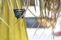 Decorative basket hanging on the roof. Dried leaves hanging down from the roof. Bead decorations on basket