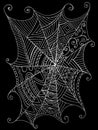 Decorative beautiful spider web, black and white color. Royalty Free Stock Photo