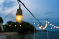 Decorative beautiful vintage lamp bulbs at twilight time Royalty Free Stock Photo