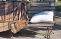 The decorative bench at Pejzazhna alley in Kiev Ukraine Royalty Free Stock Photo