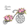Decorative bicycle with a basket full of flowers Royalty Free Stock Photo