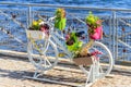 Decorative bicycle shape stand for plants and flowers on the embankment by a sea