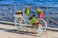 Decorative bicycle shape stand for plants and flowers on the embankment by a sea