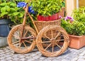 Decorative bicycle from a vine with flowers