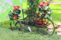 Decorative bike decorated with flower beds.