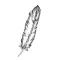 Decorative Bird Element Feather Monochrome Vector Royalty Free Stock Photo