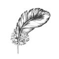 Decorative Bird Flying Element Feather Ink Vector Royalty Free Stock Photo