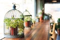 decorative birdcage with plant pot