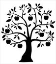 Decorative black apple tree