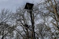 Decorative black street lantern photographed from below with bare trees Royalty Free Stock Photo