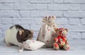 A decorative black and white cute rat sniffs a cloth bag containing goodies. Valentine`s Day gift. A rag red teddy bear toy sits