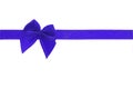 Decorative blue bow ribbon