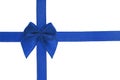 Decorative blue color bow