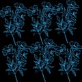 Decorative blue flower on black background Royalty Free Stock Photo