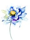 Decorative blue flower Royalty Free Stock Photo
