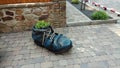 Decorative blue flowerbed stylized as old Shoe