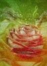 Roses bouquet with piano keys card Royalty Free Stock Photo