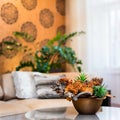 Decorative bouquet of flowers on the table in orange living room