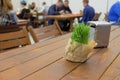 Decorative bouquet of green fresh grass on a vacant table in rustic style in a cafe Royalty Free Stock Photo