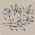 Decorative branch with leaves, hand-drawing. Vector illustration