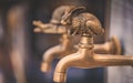 Decorative Brass Rabbit Water Faucet