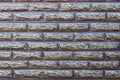 pockmarked decorative brick  wall Royalty Free Stock Photo