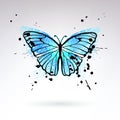 Decorative Bright Blue Butterfly