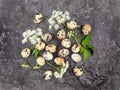 Decorative bright group of quail eggs with flowers on dark stone background. Flat lay